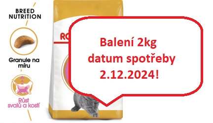 Royal Canin British Shorthair Kitten 10kg