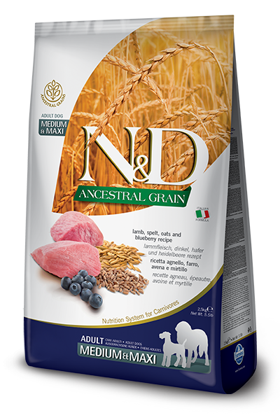 N&D Ancestral Grain Dog Adult Medium & Large Lamb & Blueberry 2x12kg